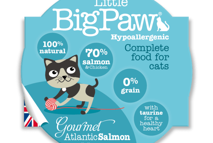 Gourmet Atlantic Salmon Mousse – Wet Food For Cats