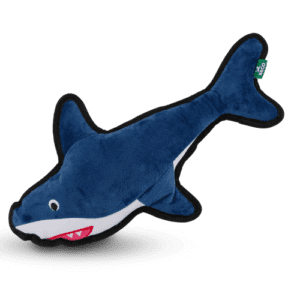 Shark 01 min