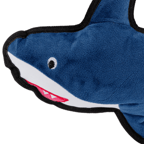 Shark 02 min