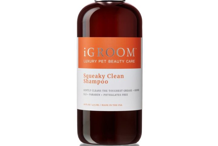 IGroom Squeaky Clean Shampoo For Dogs