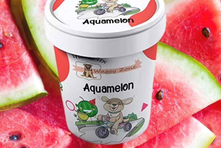 Waggy Zone Ice Cream Aquamelon (Water Melon) – For Dogs