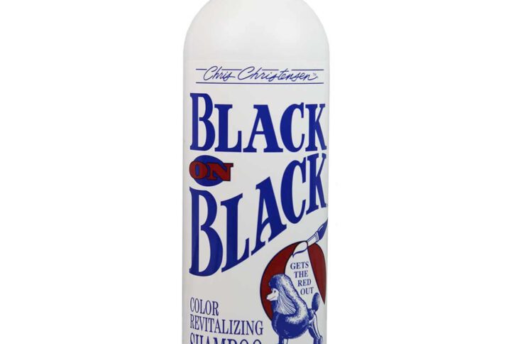 Black on Black Color Revitalizing Shampoo