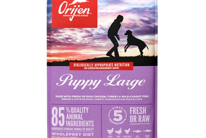 Orijen Puppy Large – Dry Food For Dogs