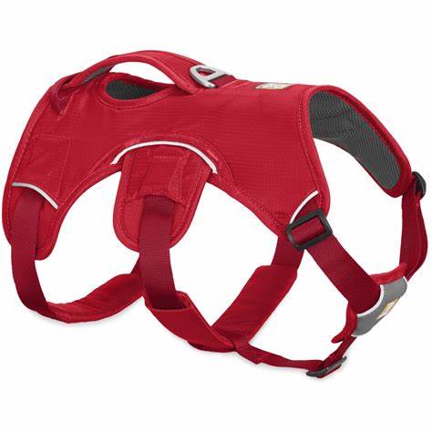 WebMaster Harness – Multi-Use Support Harness For Dogs