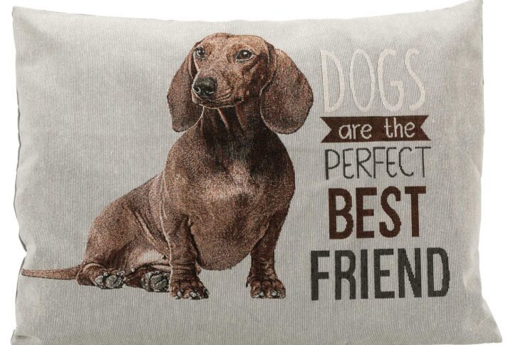 Square Cushion Dachshund Print – Grey Color – Cushion For Dogs