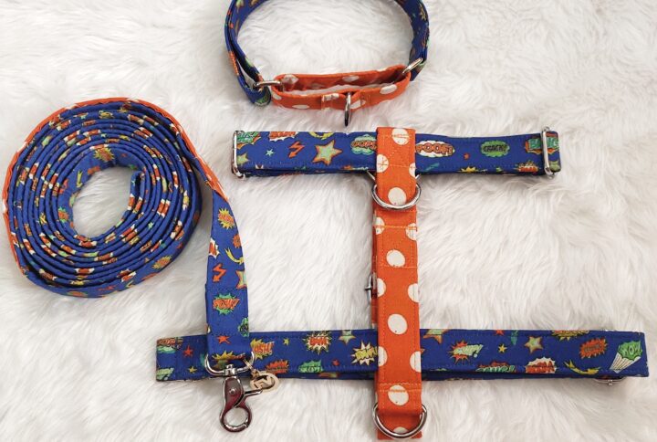 Dual Color Smash H-Type Harness Martingale Collar Leash Set for dog