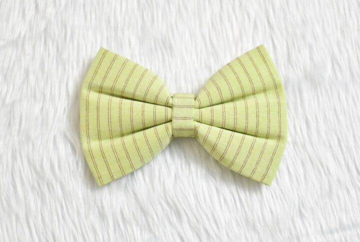 Furvilla Pistachio Green Plain Strip Bow