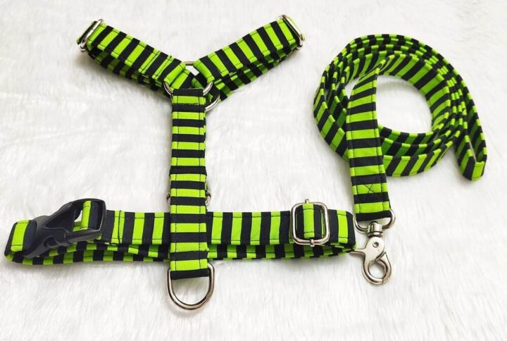 Furvilla Striped H Harness for Dogs Green Color