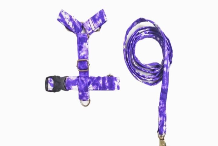 Furvilla Tie Dye H Type Dog Harness and Leash Set