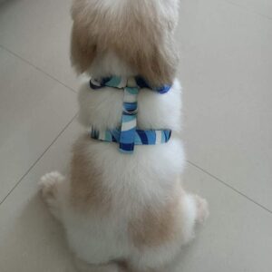 Furvilla Wavy Blue White Leash with Harness Model Back