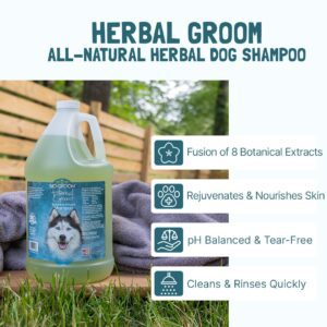 Herbal Groom Botanical Infused Shampoo