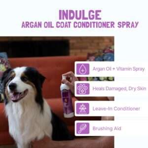 Indulge with Argan Oil Daily Brushing Aid
