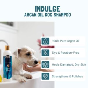 Indulge with Argan Oil Shampoo