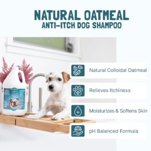 Natural Oatmeal Colloidal Oatmeal Shampoo