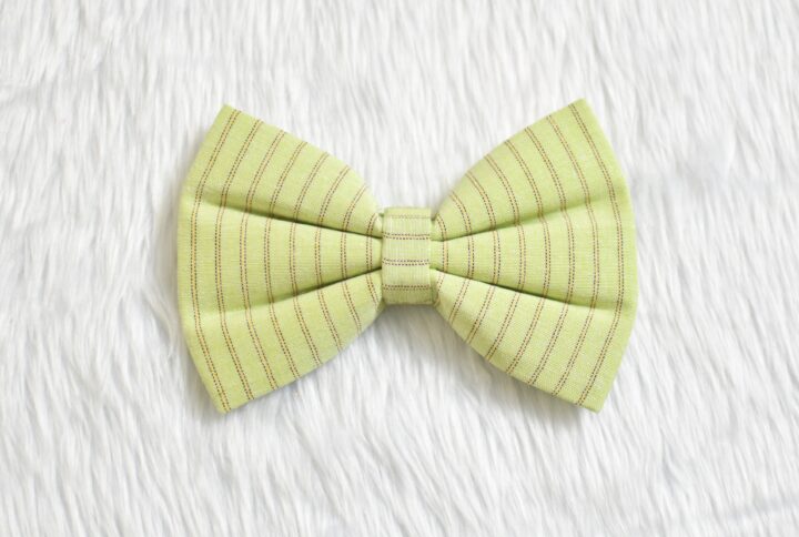 Pistachio Green Plain Stripe Bow For Cats & Dogs