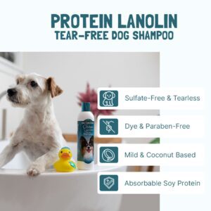 Protein Lanolin Tear-Free Shampoo