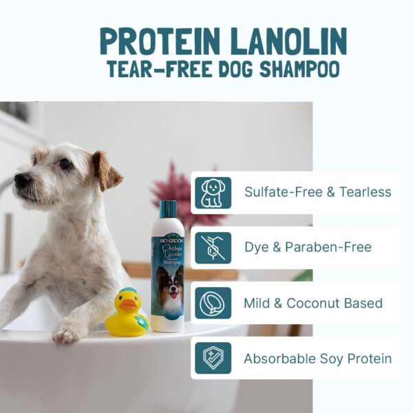 Protein Lanolin Tear-Free Shampoo
