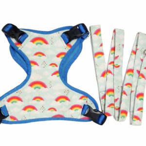 Rainbow Harness Leash Set For Dogs