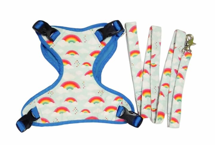 Rainbow Harness Leash Set For Dogs