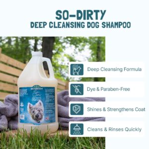 Dirty Deep Cleansing Shampoo