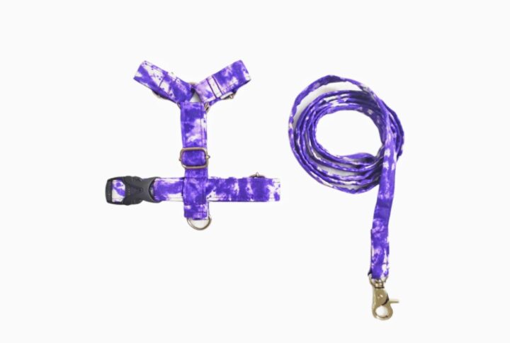 Tie Dye H-Type Harness Leash Set For Dogs