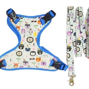 Wild Animal Harness Leash Set For Dogs