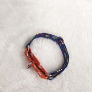 Dual Color Smash Martingale Collar Leash Set for dog