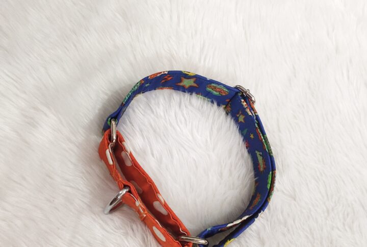 Dual Color Smash Martingale Collar Leash Set for dog