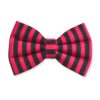Stripe Bow Collection – Bow For Cats & Dogs