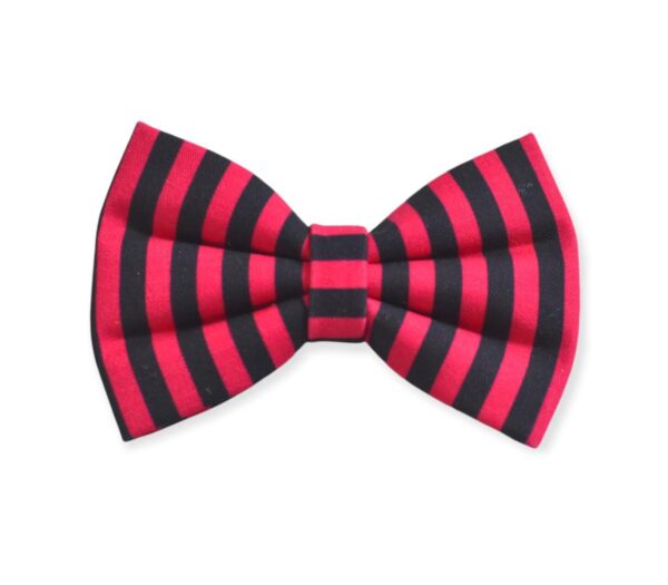 Stripe Bow Collection – Bow For Cats & Dogs