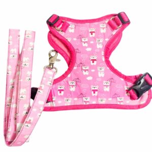 Pink Teddy Bear Harness Leash Set For Dogs
