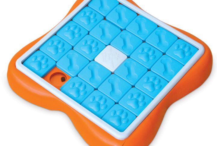 Challenge Slider Interactive Treat Puzzle Toy – Interactive Toys For Dogs