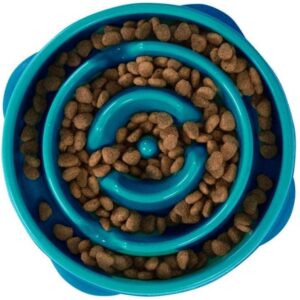 Fun Feeder Slo-Bowl For Dogs Teal Color