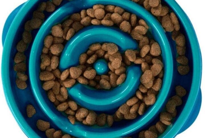 Fun Feeder Slo-Bowl For Dogs Teal Color