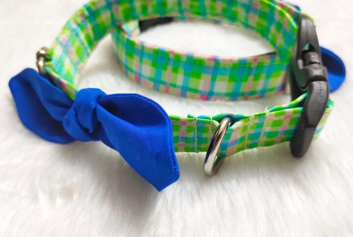 Green & Blue Checkered Collar For Cats & Puppies