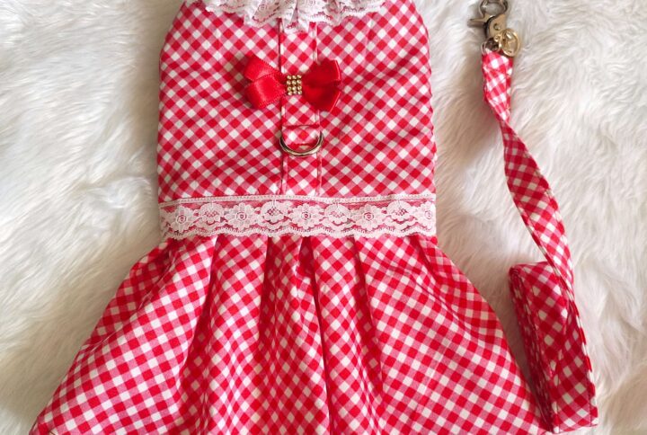 Gingham Red Lace Dress/Harness/Leash Set For Cats & Dogs