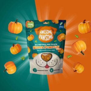 Super Pumpkin Recipe – Treats For Dogs