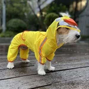 Pet Raincoat – Duck Series For Dogs