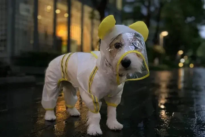 Pet Four Leg Raincoat For Dogs