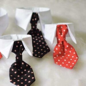 Formal Collar Tie For Cats & Dogs