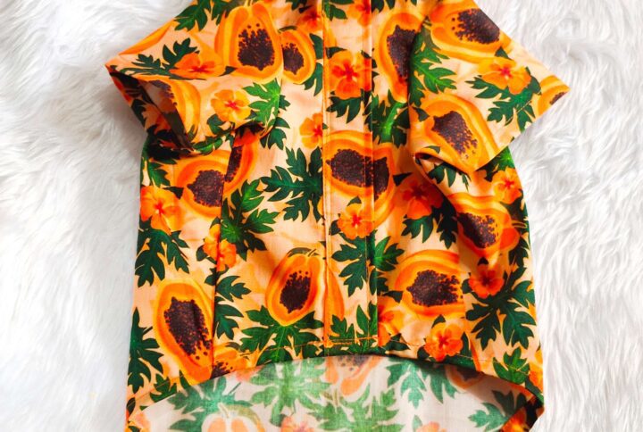 Tropical Papaya Theme Shirt For Cats & Dogs