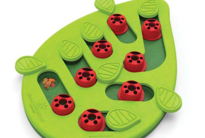 Petstages Buggin’ Out Puzzle & Play – Interactive Toys For Cats