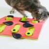 Petstages Melon Madness Puzzle and Play Model1