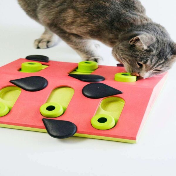 Petstages Melon Madness Puzzle and Play Model1