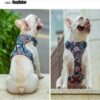 True Love Adjustable Control Cotton Floral Pet Harness Model