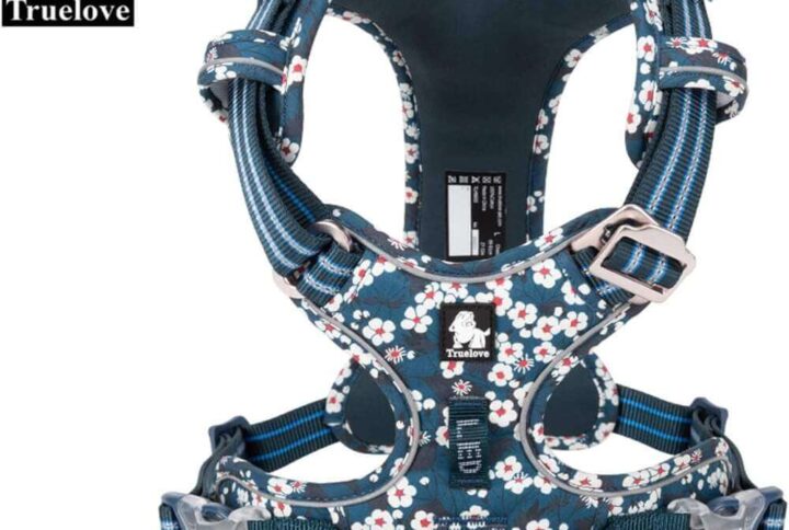 Control Cotton Floral Pet Harness For Dogs – Saxony Blue Color