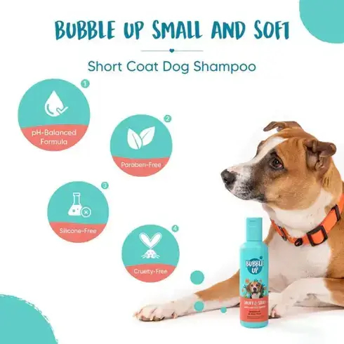 Bubble Up Short Silky Benefits