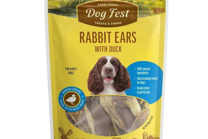 Dog Fest Rabbit Ear with Duck