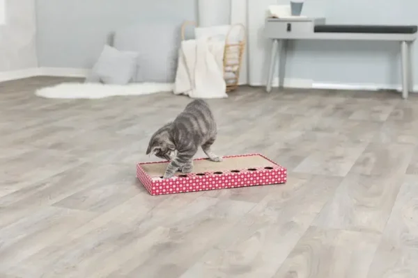 Trixie Scratching Cardboard with Toys Model