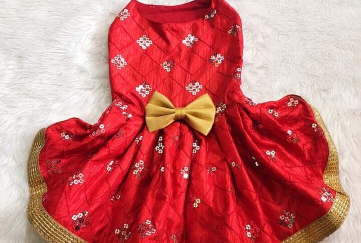 Furvilla Festive Red Dress with Gold Bow